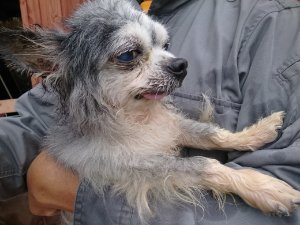 f:id:roukenhome-ann:20181115181917j:plain f:id:roukenhome-ann:20181115181917j:plain