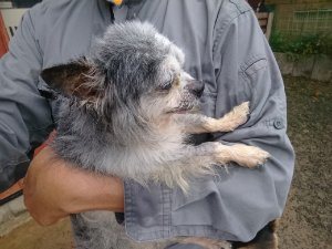 f:id:roukenhome-ann:20181115181922j:plain f:id:roukenhome-ann:20181115181922j:plain