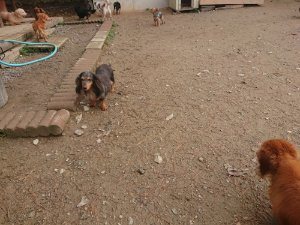 f:id:roukenhome-ann:20181115182002j:plain f:id:roukenhome-ann:20181115182002j:plain