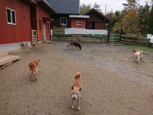 f:id:roukenhome-ann:20181115182327j:plain f:id:roukenhome-ann:20181115182327j:plain