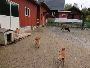 f:id:roukenhome-ann:20181115182332j:plain f:id:roukenhome-ann:20181115182332j:plain