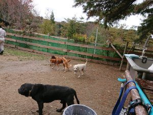 f:id:roukenhome-ann:20181115182359j:plain f:id:roukenhome-ann:20181115182359j:plain