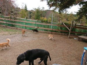 f:id:roukenhome-ann:20181115182403j:plain f:id:roukenhome-ann:20181115182403j:plain