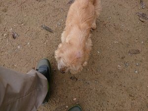 f:id:roukenhome-ann:20181115182422j:plain f:id:roukenhome-ann:20181115182422j:plain