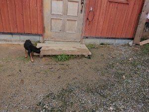 f:id:roukenhome-ann:20181115182906j:plain f:id:roukenhome-ann:20181115182906j:plain