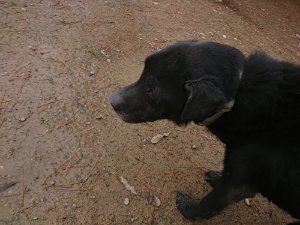 f:id:roukenhome-ann:20181115183028j:plain f:id:roukenhome-ann:20181115183028j:plain