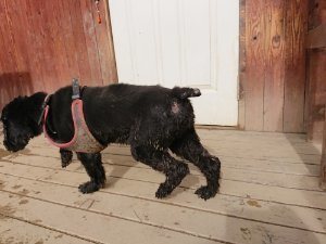 f:id:roukenhome-ann:20181115183043j:plain f:id:roukenhome-ann:20181115183043j:plain