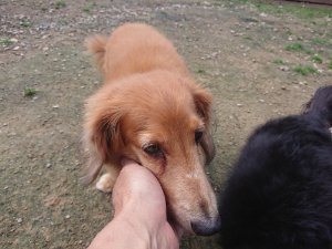 f:id:roukenhome-ann:20181115183117j:plain f:id:roukenhome-ann:20181115183117j:plain