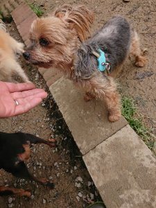 f:id:roukenhome-ann:20181115183121j:plain f:id:roukenhome-ann:20181115183121j:plain