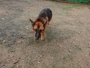 f:id:roukenhome-ann:20181115183125j:plain f:id:roukenhome-ann:20181115183125j:plain