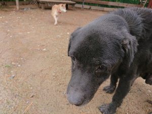 f:id:roukenhome-ann:20181115183128j:plain f:id:roukenhome-ann:20181115183128j:plain