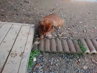 f:id:roukenhome-ann:20181116093016j:plain f:id:roukenhome-ann:20181116093016j:plain