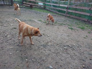 f:id:roukenhome-ann:20181116093053j:plain f:id:roukenhome-ann:20181116093053j:plain
