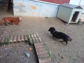 f:id:roukenhome-ann:20181116093106j:plain f:id:roukenhome-ann:20181116093106j:plain