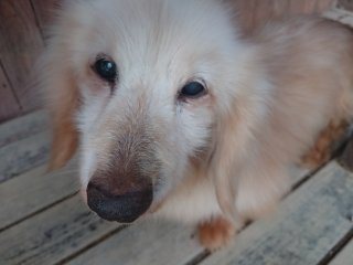 f:id:roukenhome-ann:20181116093138j:plain f:id:roukenhome-ann:20181116093138j:plain