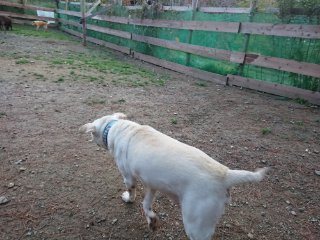 f:id:roukenhome-ann:20181116093159j:plain f:id:roukenhome-ann:20181116093159j:plain