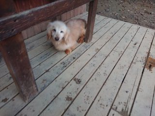 f:id:roukenhome-ann:20181116093213j:plain f:id:roukenhome-ann:20181116093213j:plain