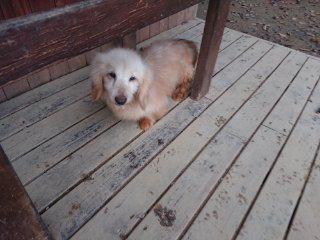 f:id:roukenhome-ann:20181116093220j:plain f:id:roukenhome-ann:20181116093220j:plain