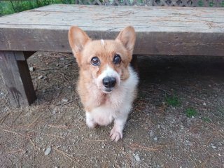 f:id:roukenhome-ann:20181116093341j:plain f:id:roukenhome-ann:20181116093341j:plain