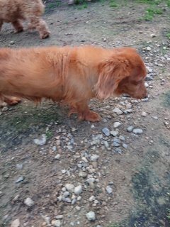f:id:roukenhome-ann:20181116093344j:plain f:id:roukenhome-ann:20181116093344j:plain