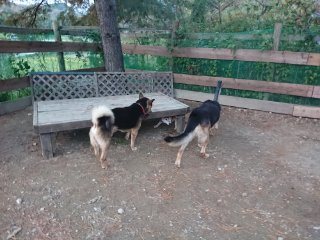 f:id:roukenhome-ann:20181116093352j:plain f:id:roukenhome-ann:20181116093352j:plain