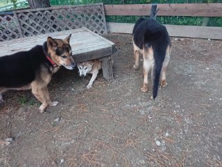 f:id:roukenhome-ann:20181116093355j:plain f:id:roukenhome-ann:20181116093355j:plain