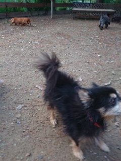 f:id:roukenhome-ann:20181116093406j:plain f:id:roukenhome-ann:20181116093406j:plain