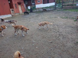 f:id:roukenhome-ann:20181116093425j:plain f:id:roukenhome-ann:20181116093425j:plain
