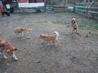 f:id:roukenhome-ann:20181116093432j:plain f:id:roukenhome-ann:20181116093432j:plain