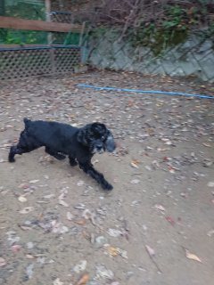 f:id:roukenhome-ann:20181116093440j:plain f:id:roukenhome-ann:20181116093440j:plain