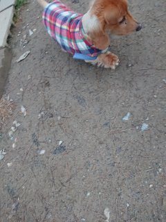 f:id:roukenhome-ann:20181116093510j:plain f:id:roukenhome-ann:20181116093510j:plain