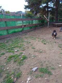 f:id:roukenhome-ann:20181116093751j:plain f:id:roukenhome-ann:20181116093751j:plain