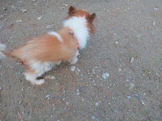f:id:roukenhome-ann:20181116093755j:plain f:id:roukenhome-ann:20181116093755j:plain