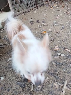 f:id:roukenhome-ann:20181116093806j:plain f:id:roukenhome-ann:20181116093806j:plain