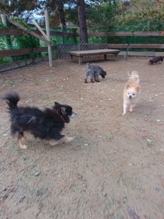 f:id:roukenhome-ann:20181116093809j:plain f:id:roukenhome-ann:20181116093809j:plain