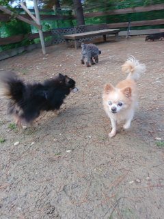 f:id:roukenhome-ann:20181116093813j:plain f:id:roukenhome-ann:20181116093813j:plain