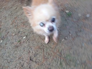 f:id:roukenhome-ann:20181116093820j:plain f:id:roukenhome-ann:20181116093820j:plain