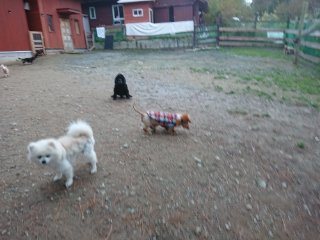 f:id:roukenhome-ann:20181116093837j:plain f:id:roukenhome-ann:20181116093837j:plain