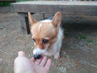 f:id:roukenhome-ann:20181116093855j:plain f:id:roukenhome-ann:20181116093855j:plain