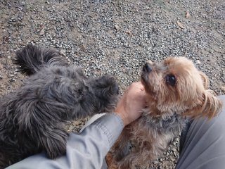 f:id:roukenhome-ann:20181116094010j:plain f:id:roukenhome-ann:20181116094010j:plain