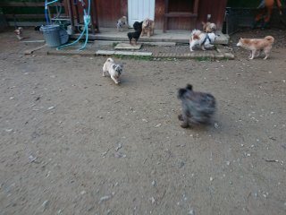 f:id:roukenhome-ann:20181116094013j:plain f:id:roukenhome-ann:20181116094013j:plain