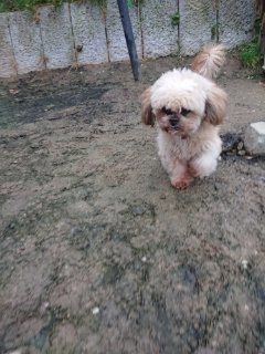 f:id:roukenhome-ann:20181116094024j:plain f:id:roukenhome-ann:20181116094024j:plain