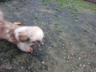 f:id:roukenhome-ann:20181116094035j:plain f:id:roukenhome-ann:20181116094035j:plain
