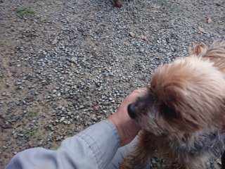 f:id:roukenhome-ann:20181116094039j:plain f:id:roukenhome-ann:20181116094039j:plain