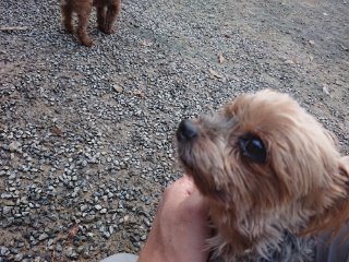 f:id:roukenhome-ann:20181116094043j:plain f:id:roukenhome-ann:20181116094043j:plain