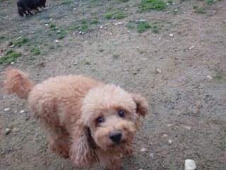 f:id:roukenhome-ann:20181116094047j:plain f:id:roukenhome-ann:20181116094047j:plain