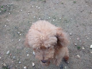 f:id:roukenhome-ann:20181116094055j:plain f:id:roukenhome-ann:20181116094055j:plain