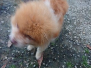 f:id:roukenhome-ann:20181116094232j:plain f:id:roukenhome-ann:20181116094232j:plain