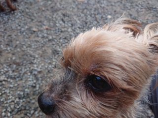 f:id:roukenhome-ann:20181116094243j:plain f:id:roukenhome-ann:20181116094243j:plain