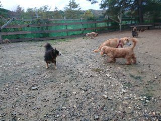 f:id:roukenhome-ann:20181116094247j:plain f:id:roukenhome-ann:20181116094247j:plain